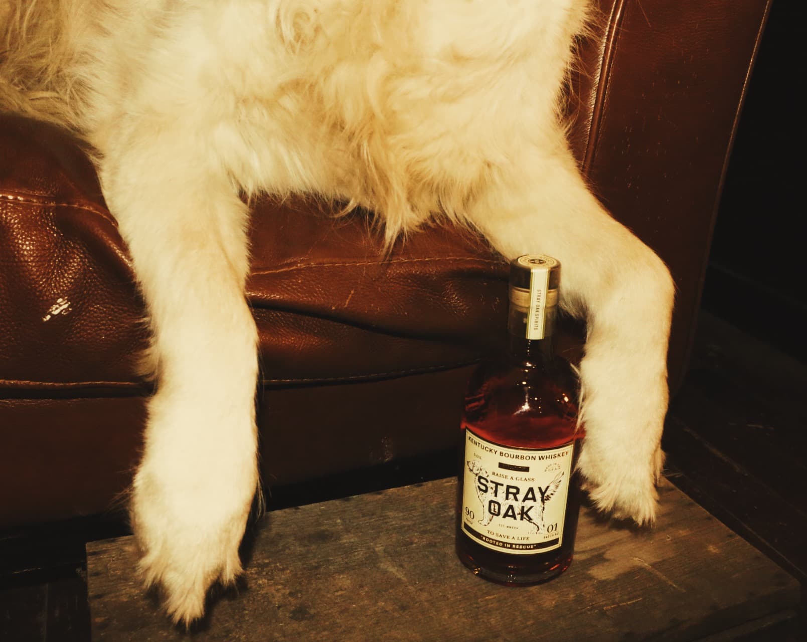 A dog resting on a leather chair with a bottle of Stray Oak bourbon between its paws