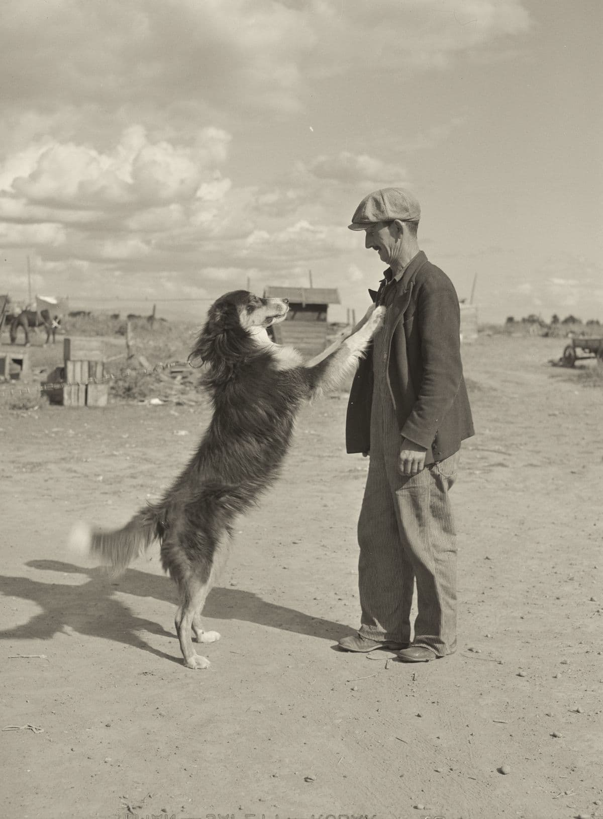 Archival photograph of a dog rearing up on its hind legs to greet a man, who takes its paws in his hands