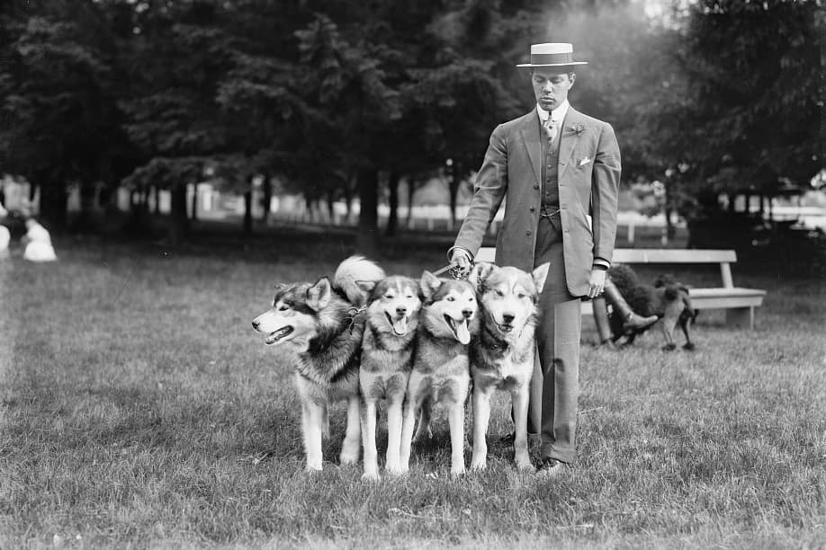 Archival photograph of a man in a suit and straw hat standing on a lawn with four sled dogs on leads