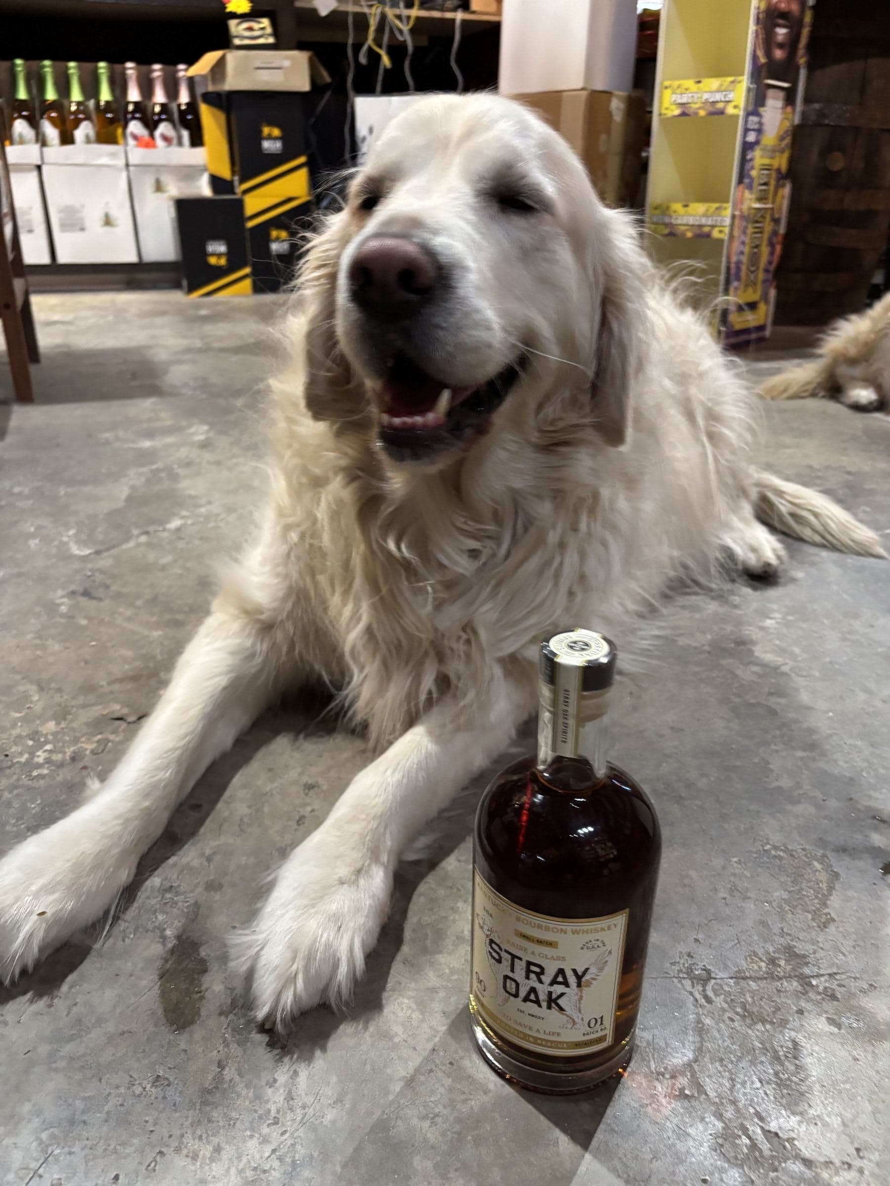 Whiskey lying on the floor of the liquor store beside a bottle of Stray Oak bourbon